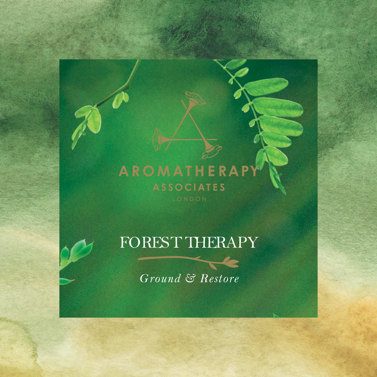 Aera® - Forest Therapy | Nature Scents for Home