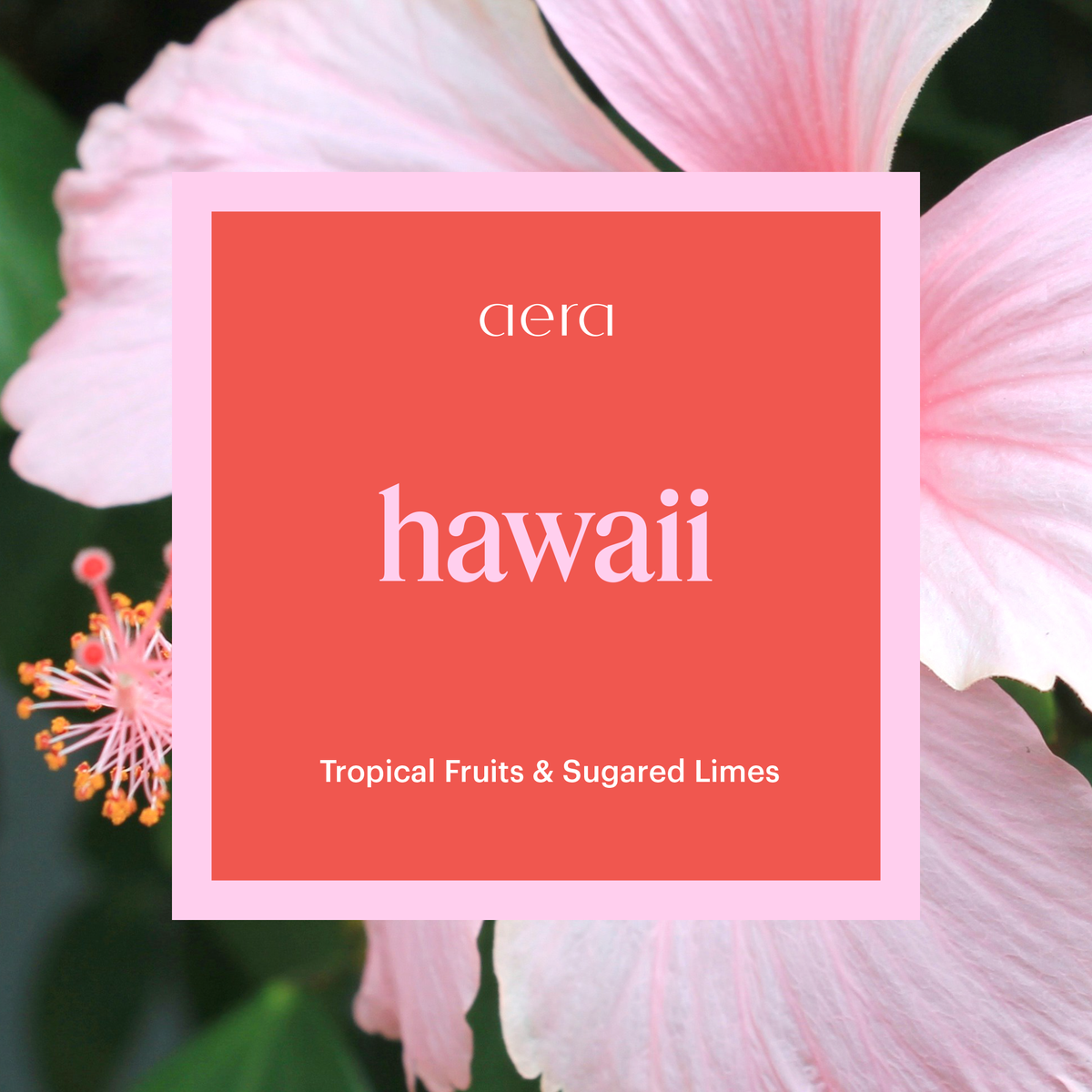 Aera® - Hawaii | Hawaiian Fragrance & Fruity Floral Scents | Aera