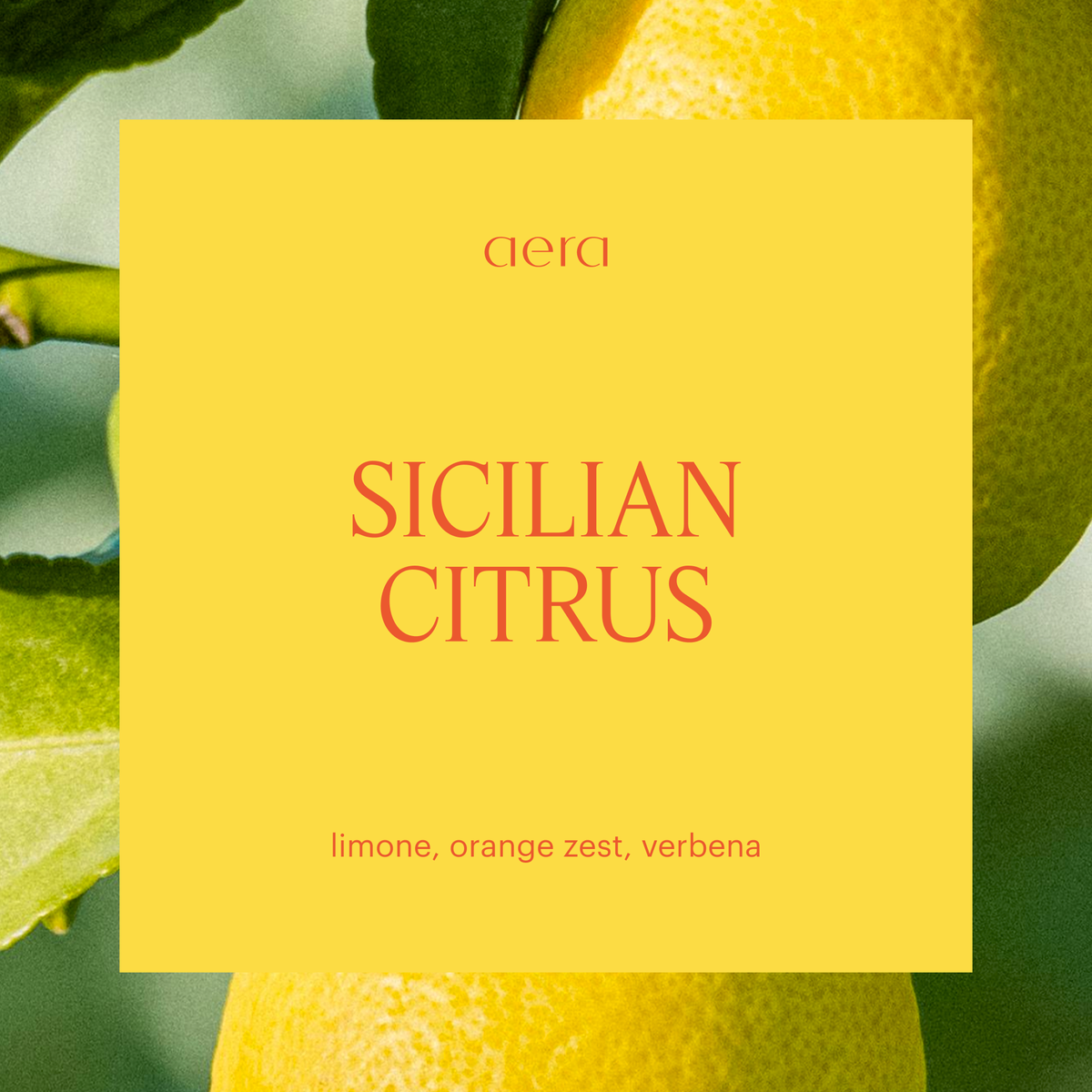 Aera® - Citrus Zest & Verbena Home Fragrance