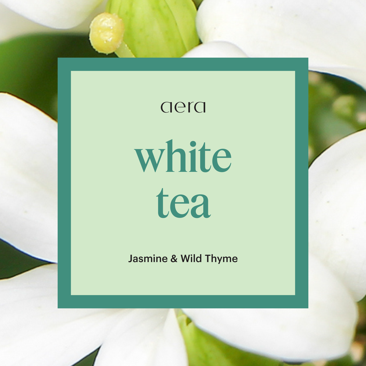 Aera® - White Tea Scent for Home