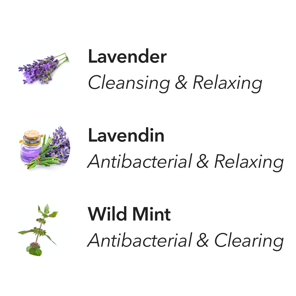 Aera fragrance Home Hygiene Lavender and Bergamot mini ingredients