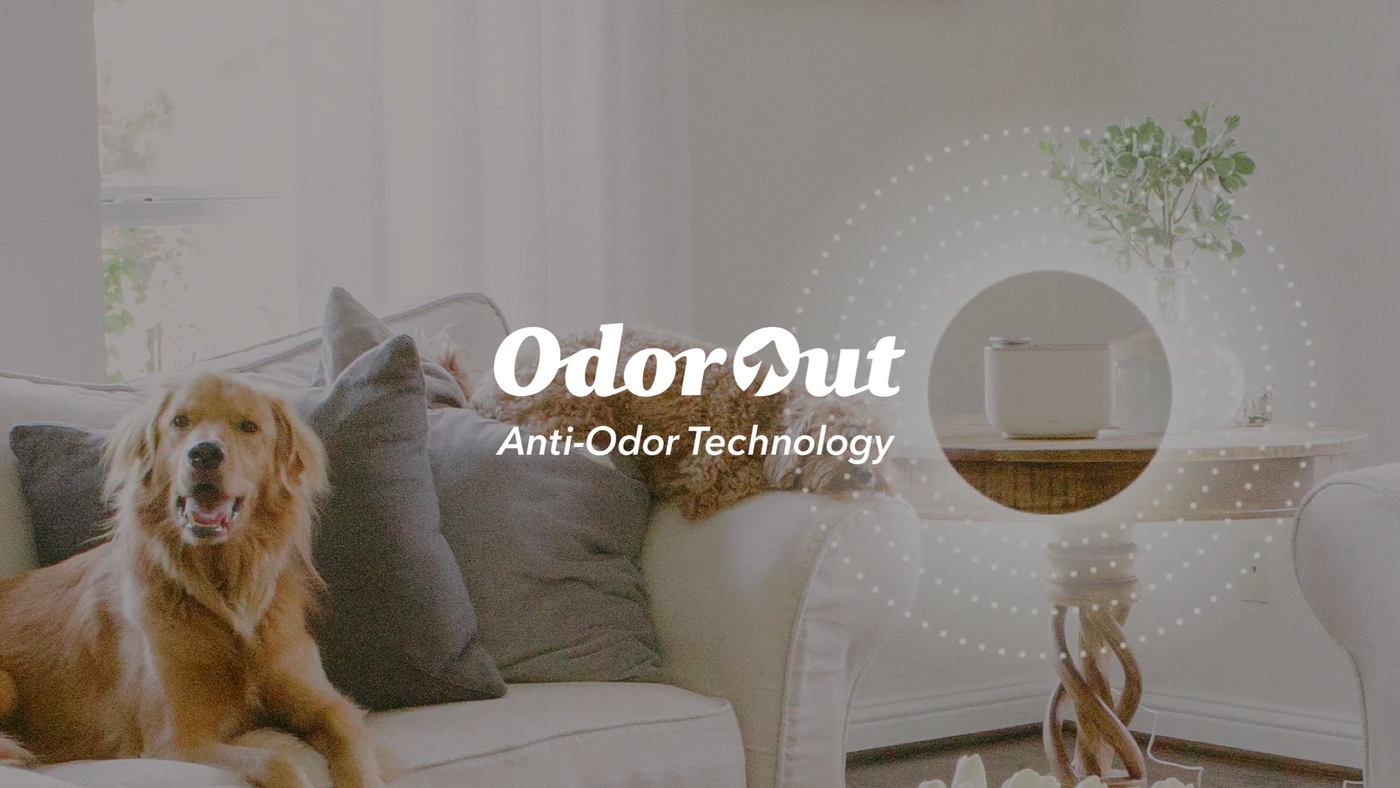 Anti-odor technology depicted removing pet odors (2160X1215)