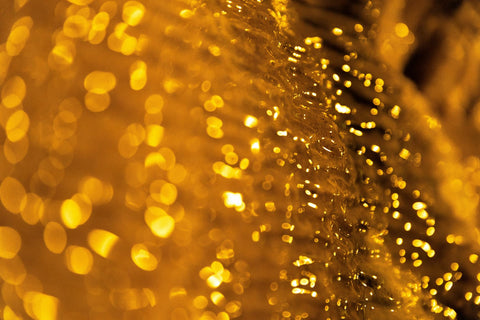 What Does Amber Smell Like? Inside the Base Note That Anchors Autumn Fragrance