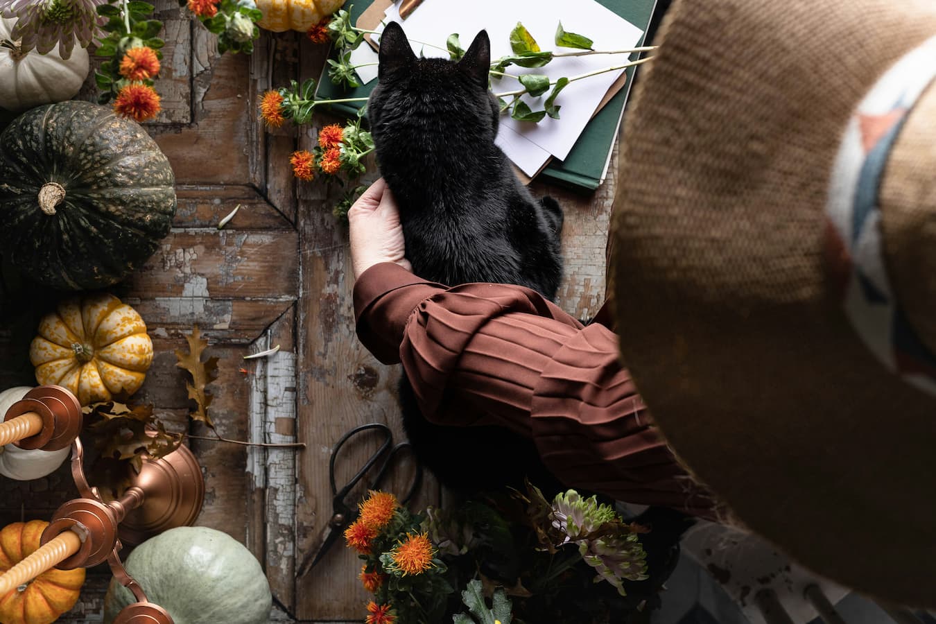 A gathered hand rests gently on a black cat amid pumpkins, safflower blooms, and dried herbs, styling the layered autumn scents and fall scent notes of a fall tablescape.