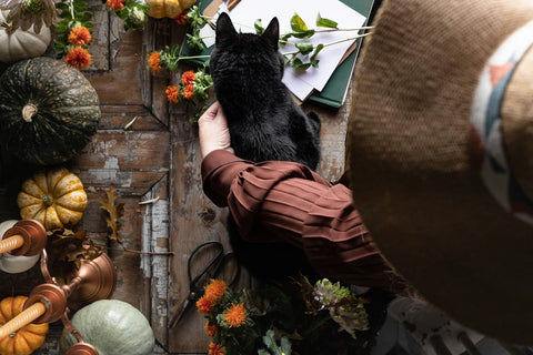 Autumn Scents for Your Home: How to Fragrance Your Space for Fall