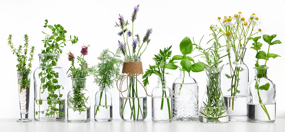 Clearing the Air: Synthetic vs. Natural Fragrance Ingredients