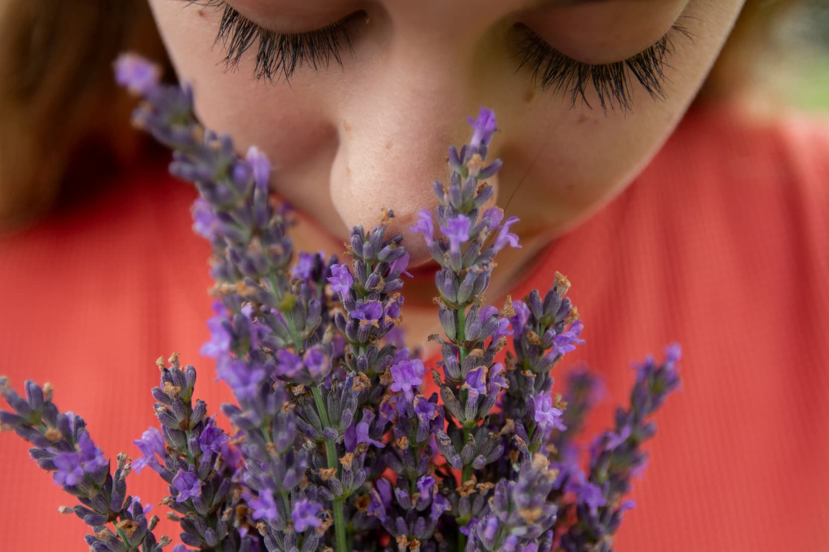 A child closes her eyes and leans into a bouquet of fresh purple blooms, breathing in the lavender scent.