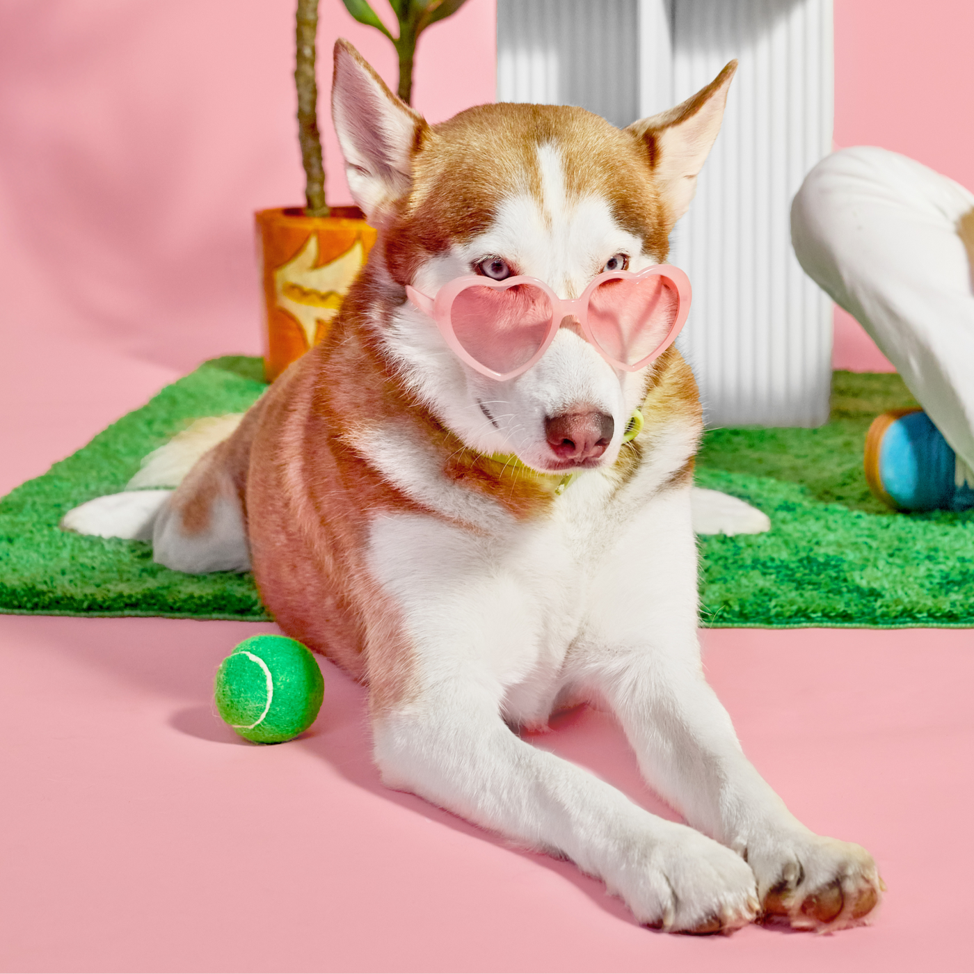 Aera® - The Aera Mini Diffuser