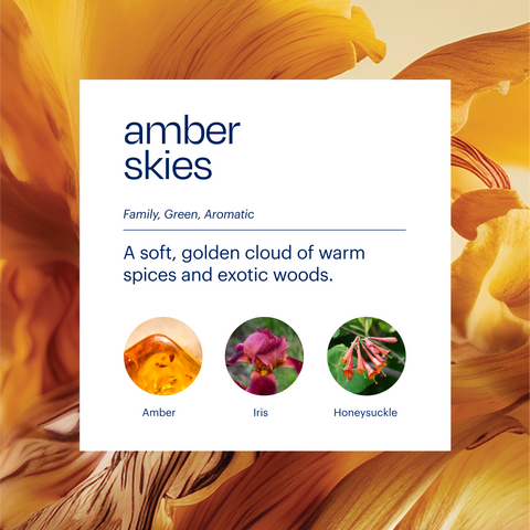Aera & Amber Skies