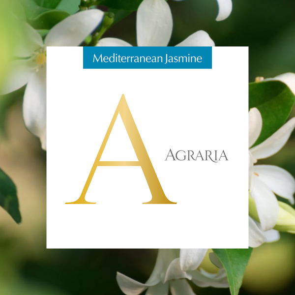 Aera® - Mediterranean Jasmine Home Fragrance