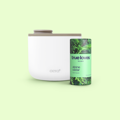 Aera Mini & Alpine Cedar