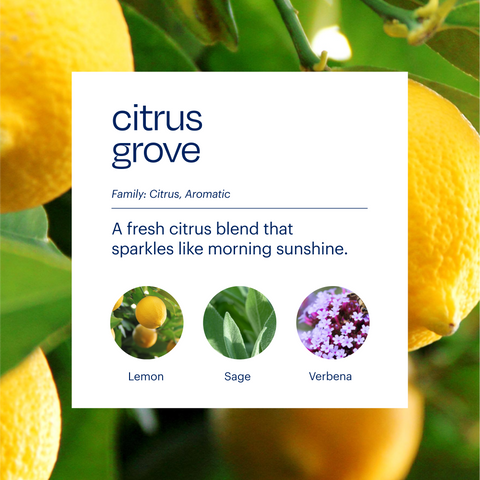 Aera & Citrus Grove