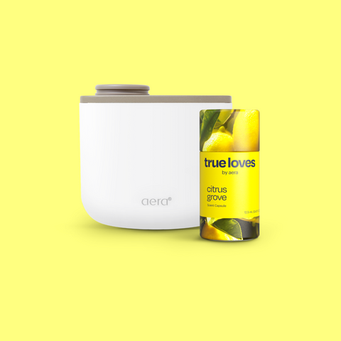 Aera Mini & Citrus Grove