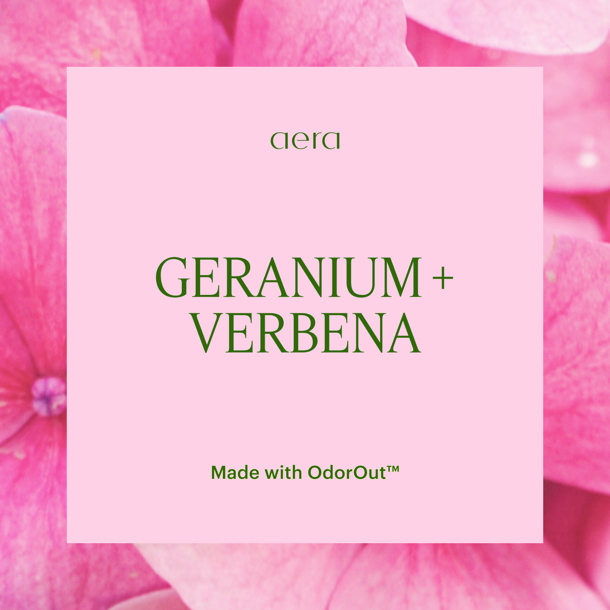 Aera® - Home Hygiene Geranium Sample | Scent Geranium & Verbena | Aera