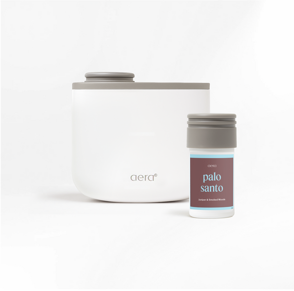 Aera Mini & Palo Santo