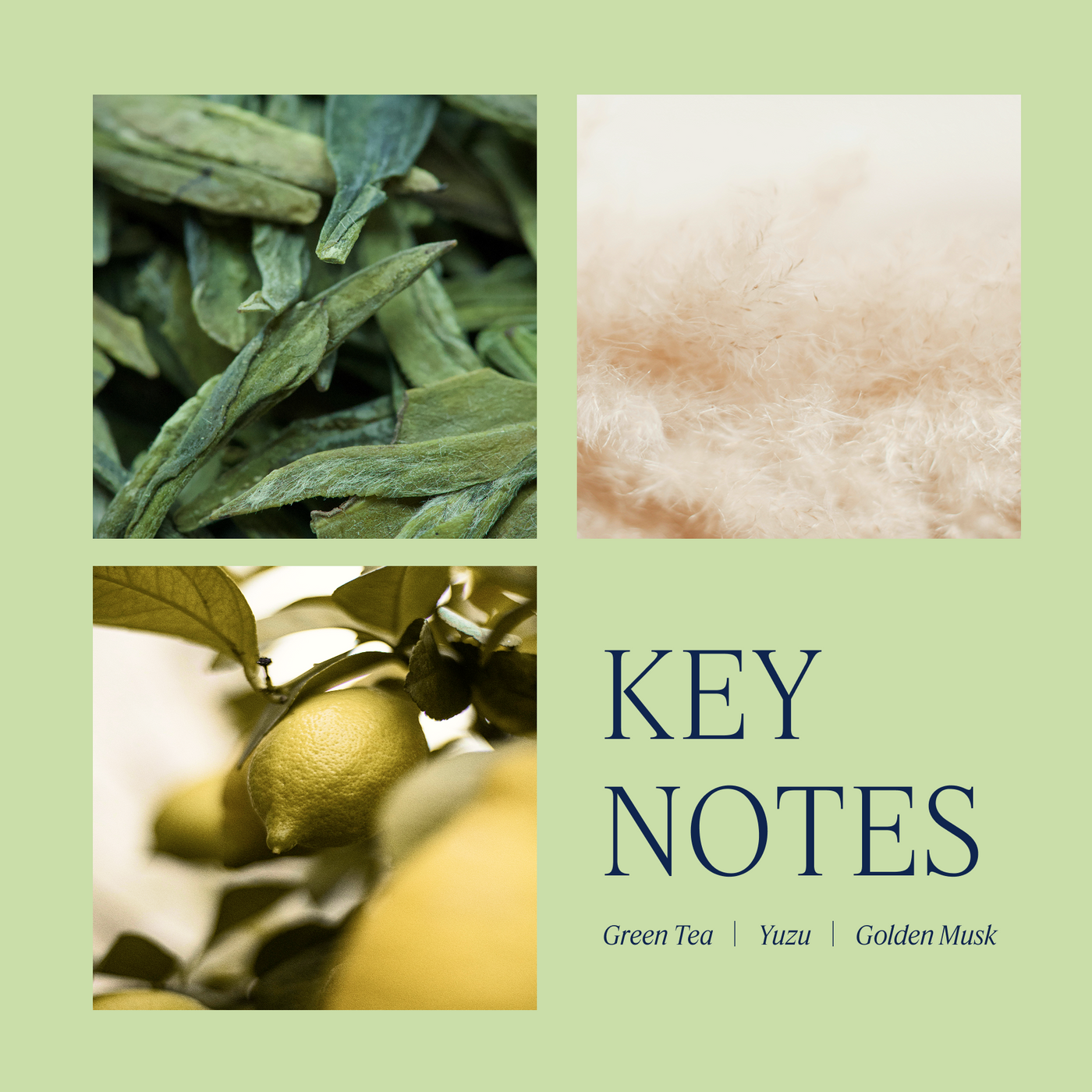 アロマグッズ LOA for Aroma Diffuser Green tea Aera® - Aera Diffuser + Kyoto Teahouse | White Tea Scent Diffuser