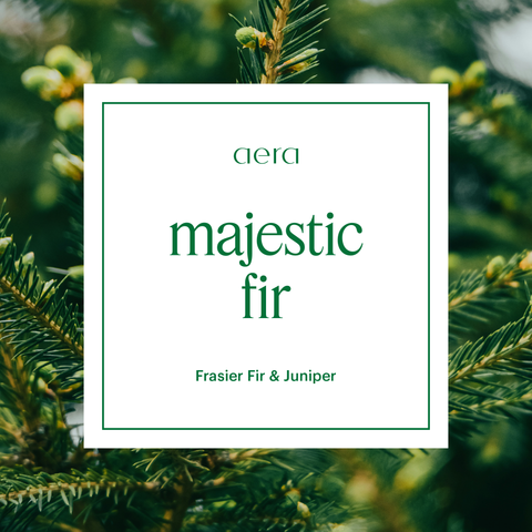 Majestic Fir Mini
