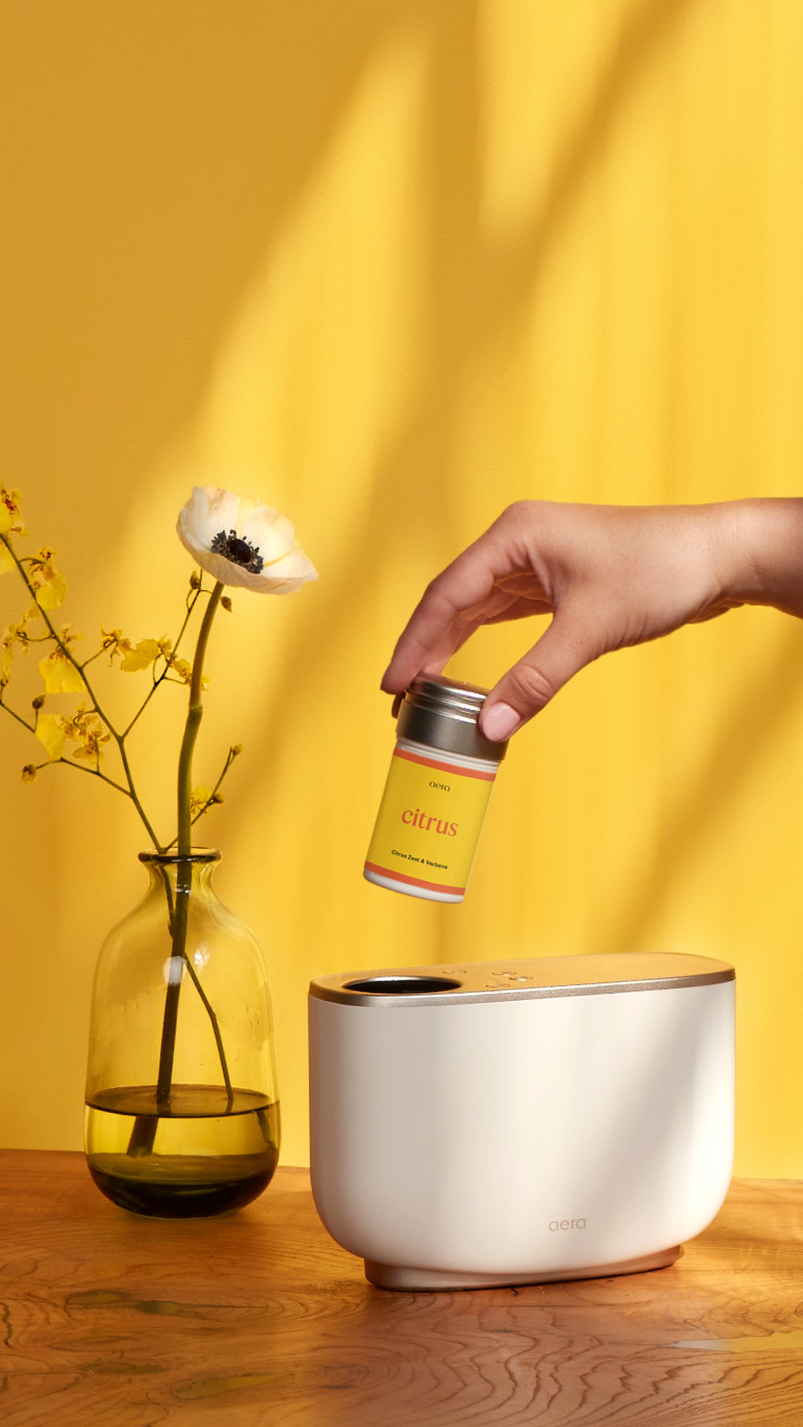 Aera® Home Fragrance System Whole Home Scenting Aera®