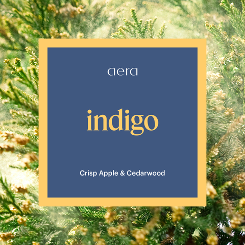 Indigo Mini