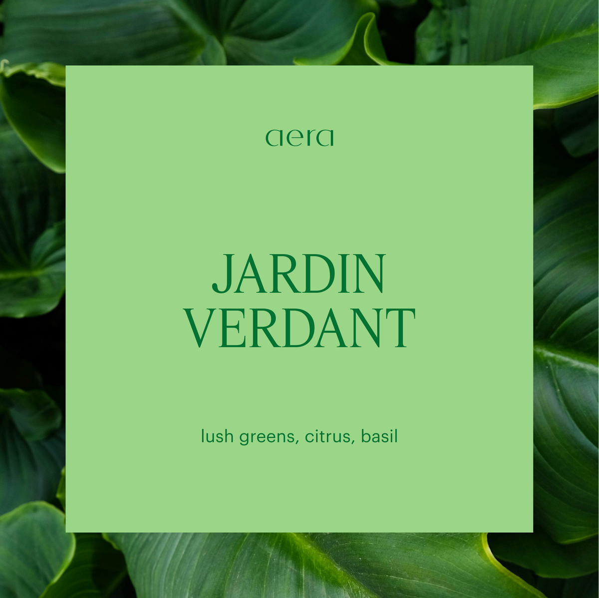 Aera® - Jardin Verdant Mini | Green Fragrance & Eucalyptus Aera® - Jardin Verdant Mini | Green Fragrance & Eucalyptus