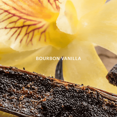 Madagascar Vanilla