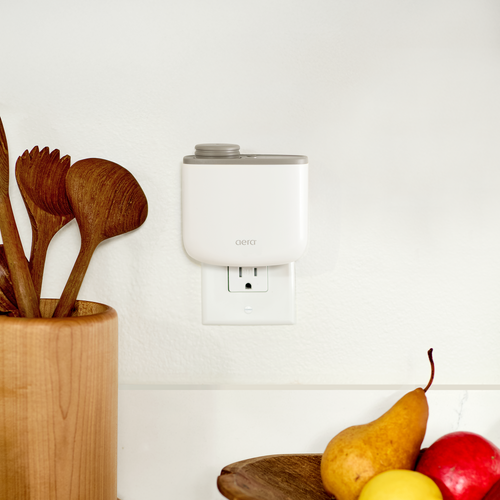 Aera Mini Diffuser