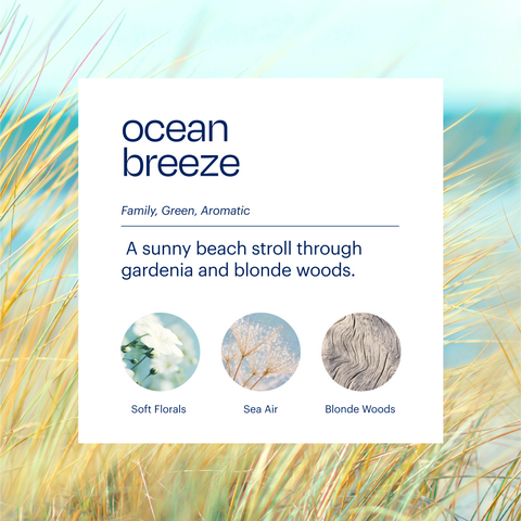 Aera & Ocean Breeze