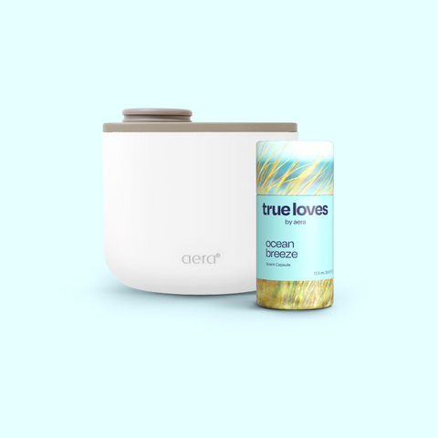 Aera Mini & Ocean Breeze