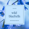 Wild Bluebells