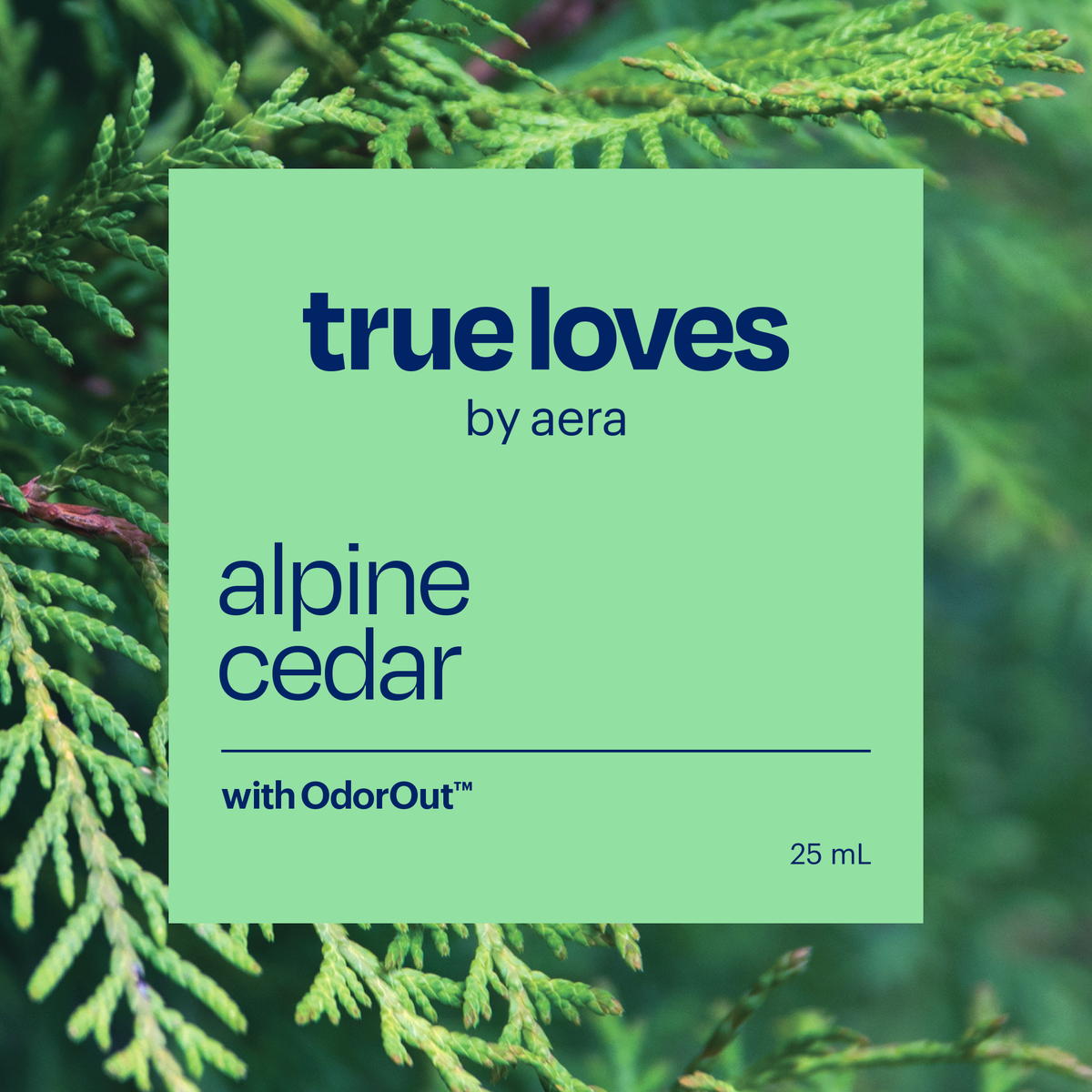Aera® - Alpine Cedar | Cedarwood Diffuser Blends & Alpine Scent
