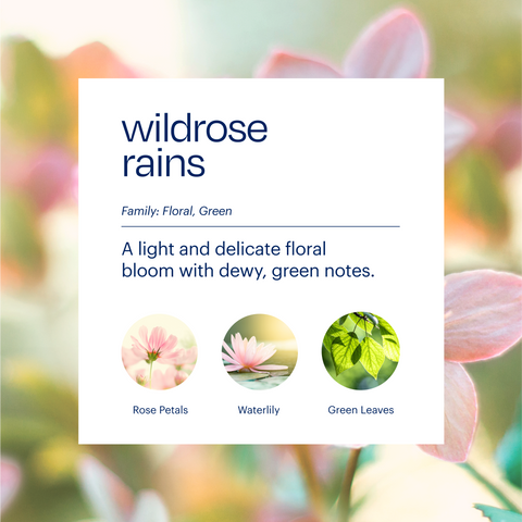 Aera & Wildrose Rains