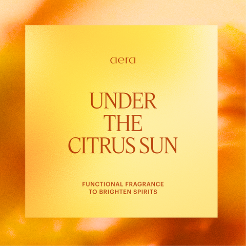 Under the Citrus Sun
