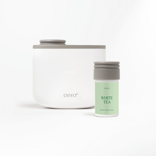 Aera Mini & White Tea