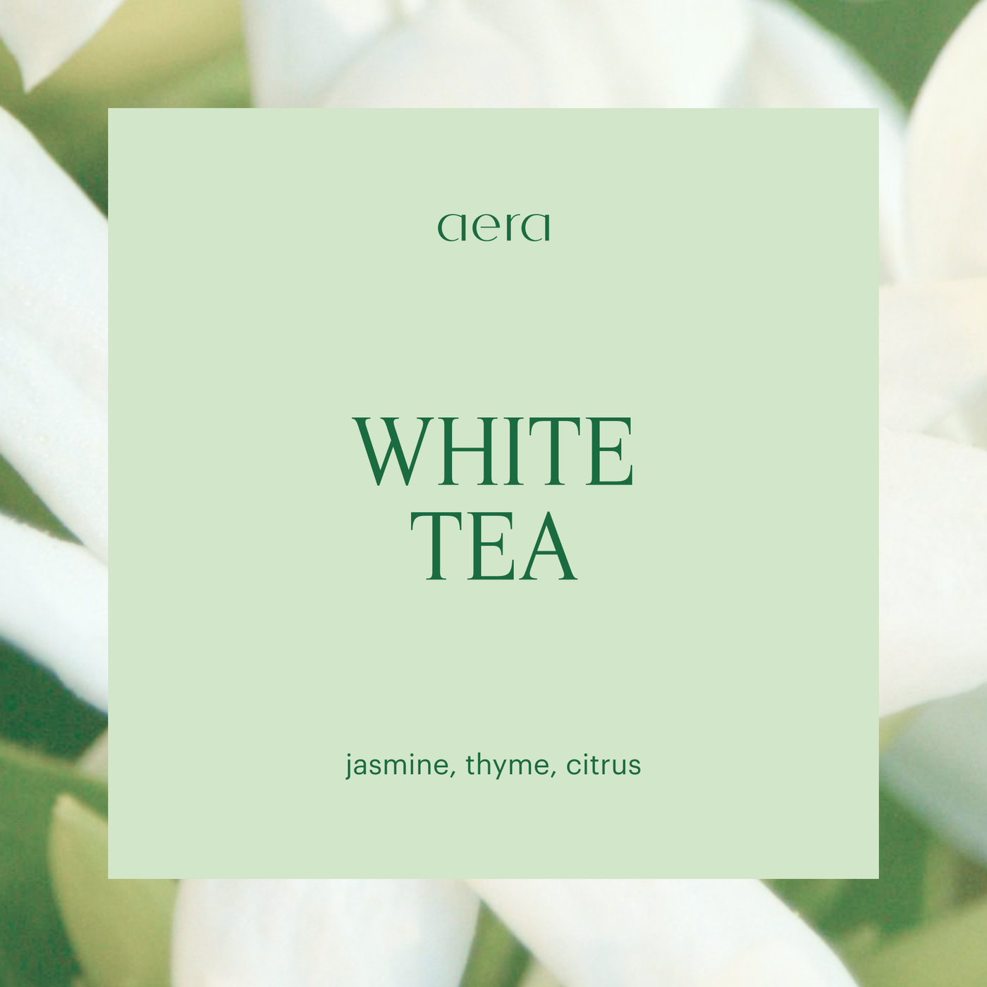 【yori】ソリッドバックフレアtee 美品　　ホワイト Aera® - White Tea Scent for Home