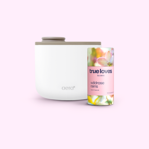 Aera Mini & Wildrose Rains