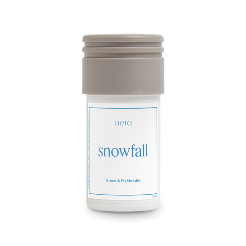 Aera Mini & Snowfall