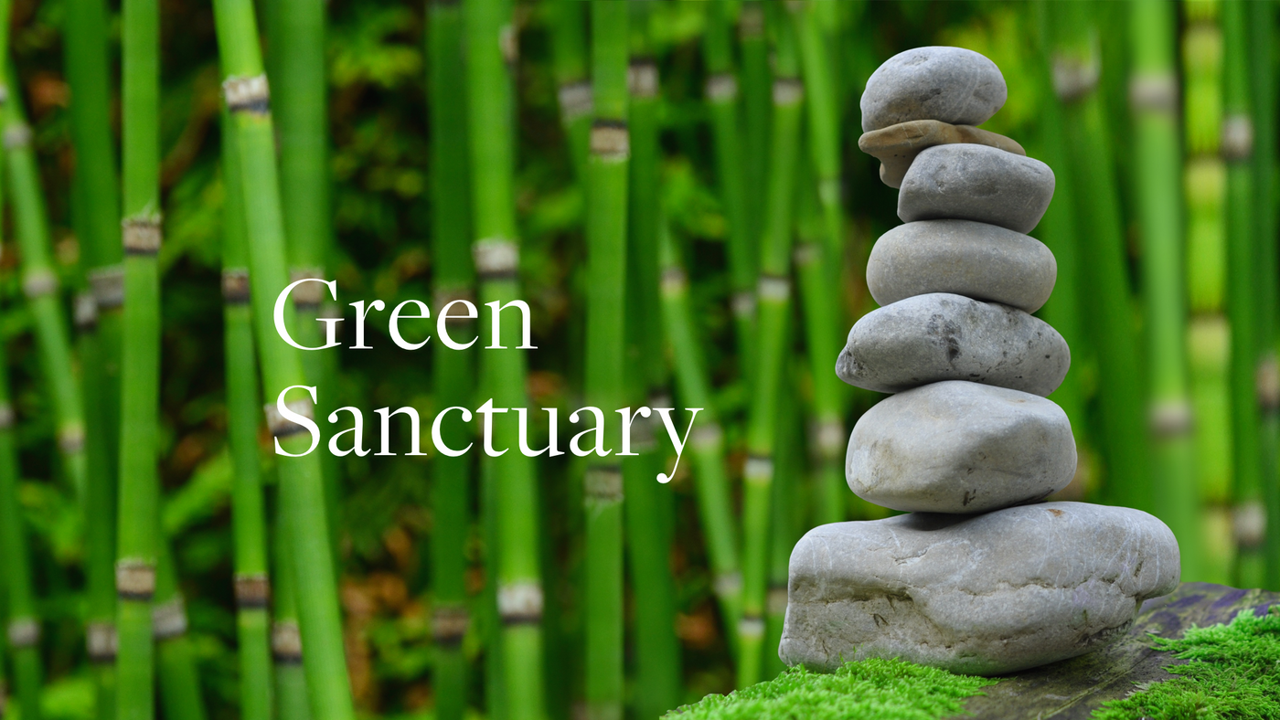 Aera fragrance Bamboo Jardin described as a green sanctuary