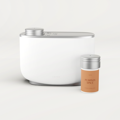 Aera & Pumpkin Spice