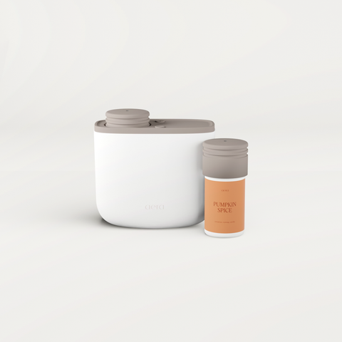 Aera Mini & Pumpkin Spice