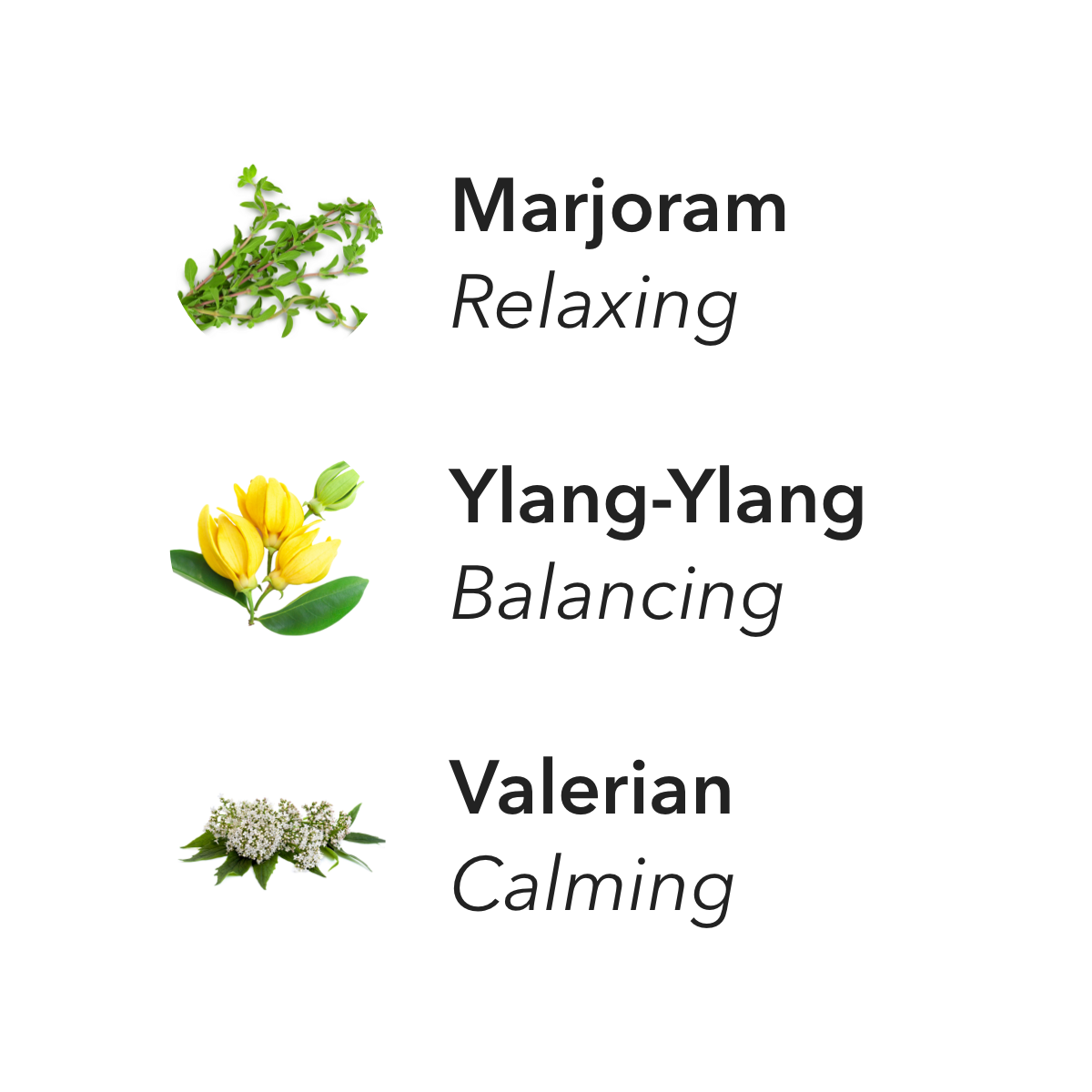 Different key aspects of Bliss