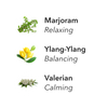Different key aspects of Bliss
