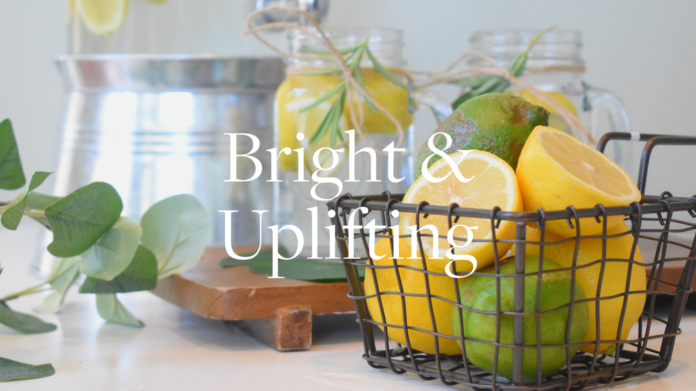Aera fragrance Citrus described as bright and uplifting