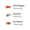 Aera fragrance Forest Therapy mini ingredients