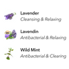Aera fragrance Home Hygiene Lavender and Bergamot ingredients