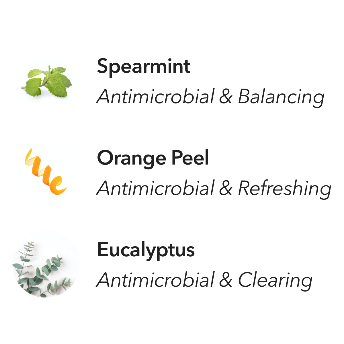 Home Hygiene Mint and Eucalyptus