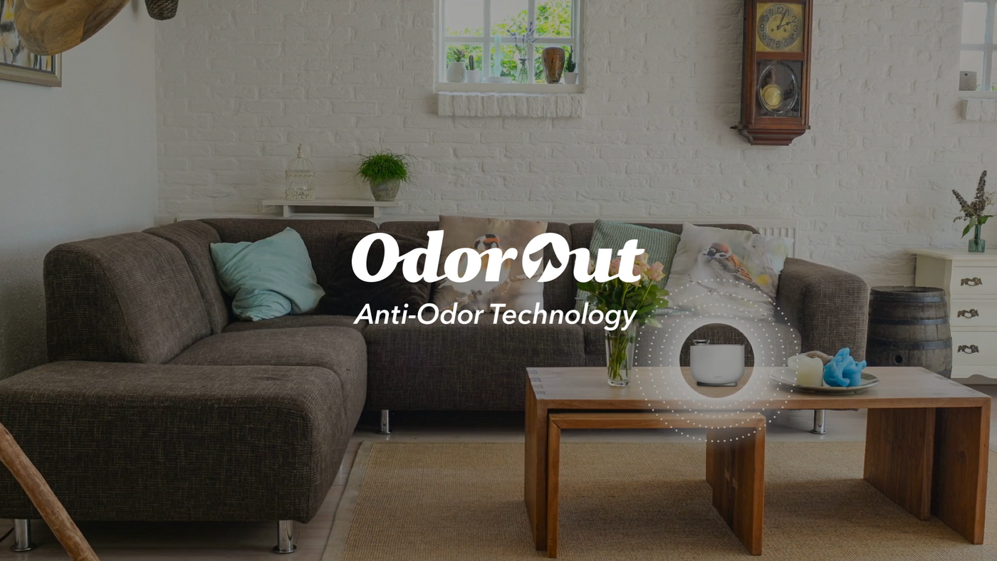 depiction of diffuser cleaning odor